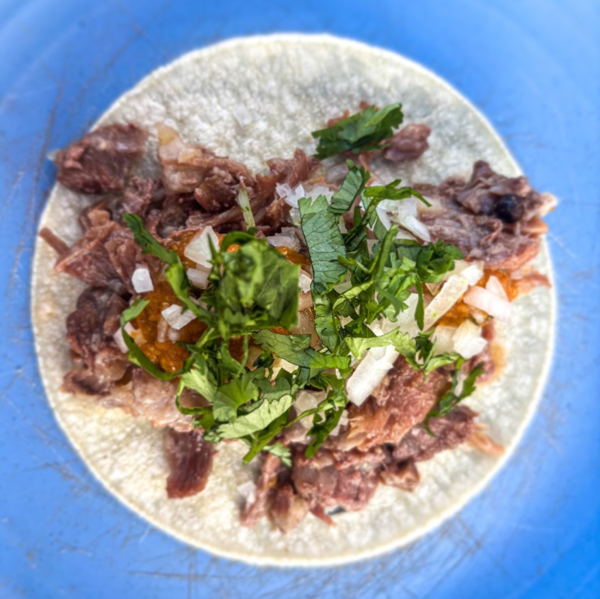 Tortillas de maíz hechas a mano — mito de los carbohidratos en nutrición mexicana